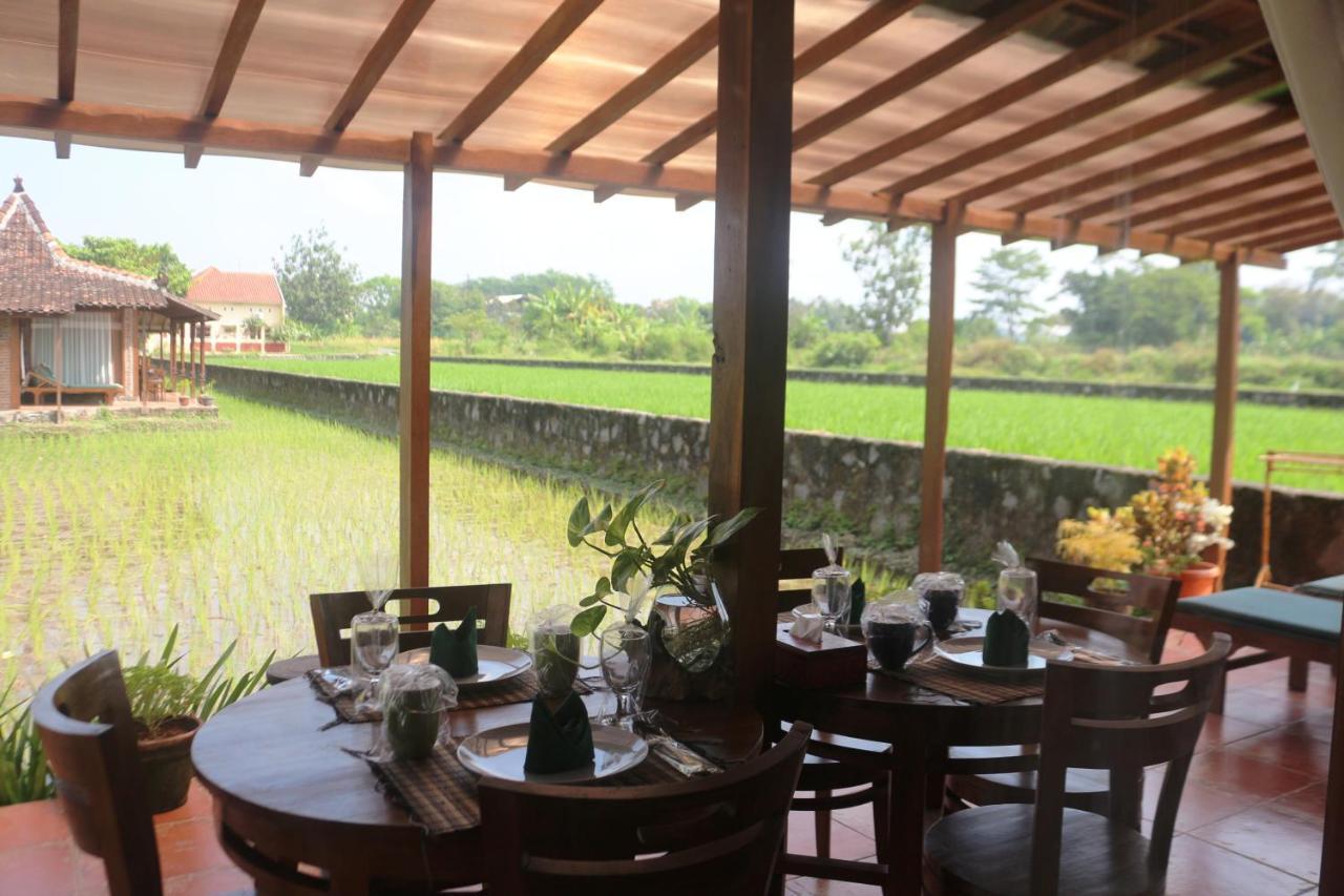 Alamanda Family Villas, Pool & Local Tours *